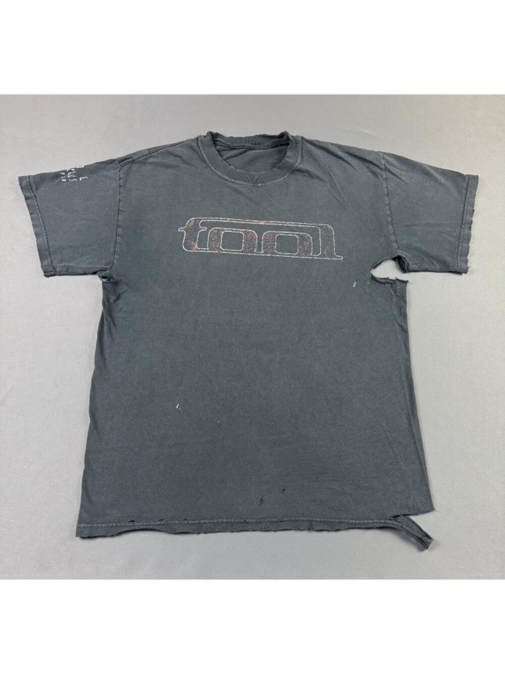 Rare Vintage Y2K Tool Band Tee Thrashed Sun Fade Worn Los Angeles California Art
